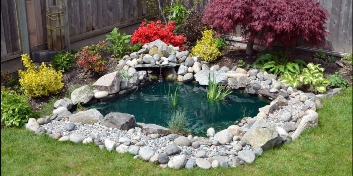 Backyard garden ponds fish pond small choose board